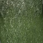 Olive Green Lace | 5 yards view 1